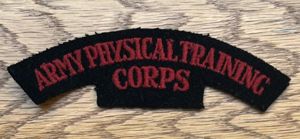 Army Physical Training Corps Shoulder Title