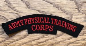 Army Physical Training Corps Shoulder Title