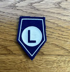 Poland Logistics Support Unit Police Collar Patch