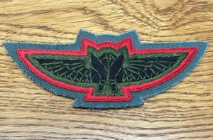 Nepal Para Pilot Wing Obsolete BT1685