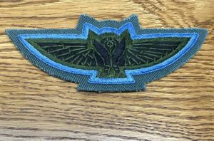 Nepal Para Pilot Wing Obsolete BT1683