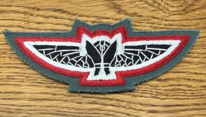 Nepal Para Pilot Wing Obsolete BT1684