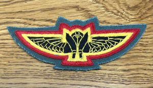 Nepal Para Pilot Wing Obsolete