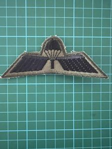 Netherlands Para Wing B Subdued