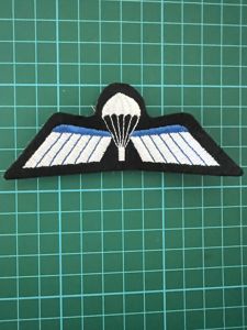 Netherlands Para Wing B Colour