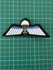 Netherlands Para Wing Instructor Old