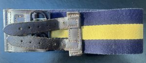 Princess of Wales Regiment Stable Belt