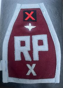 Parachute Regiment, 10 Para Regimental Police Brassard