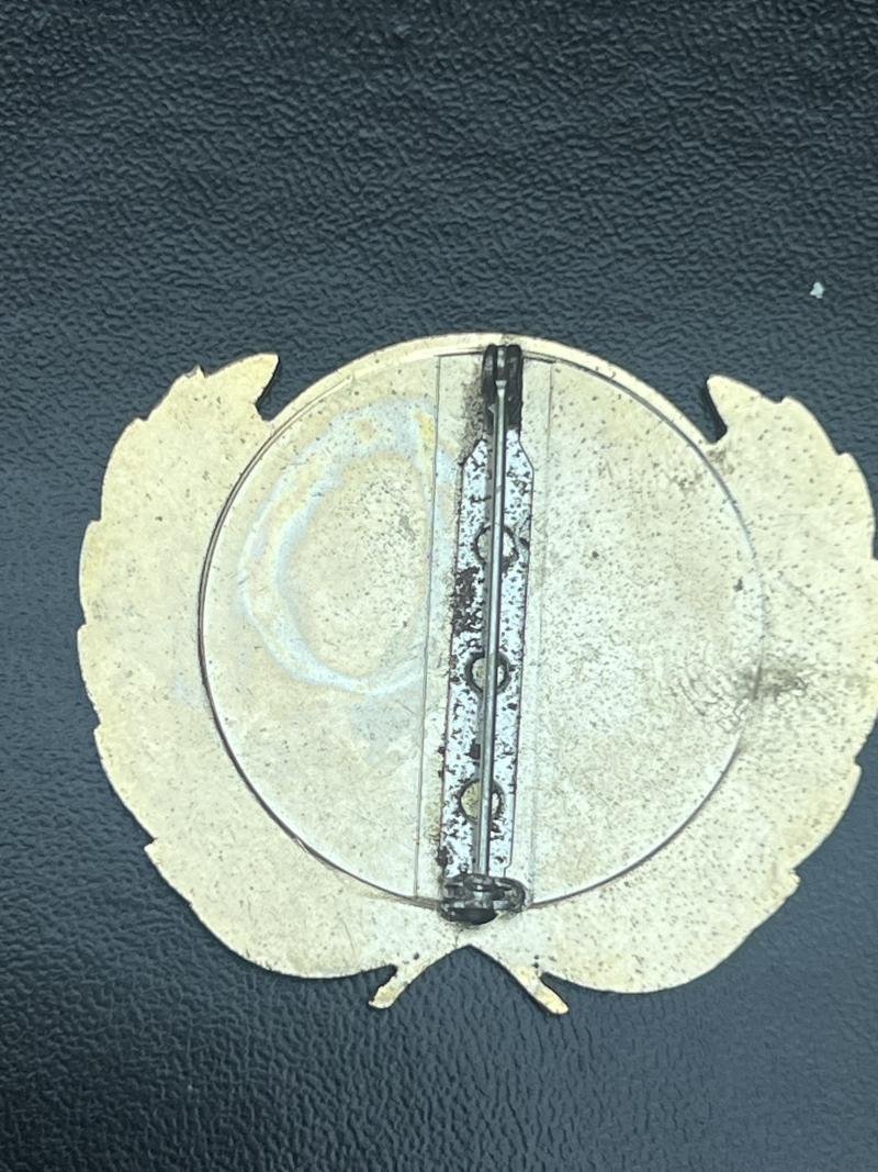 United Nations Beret Badge — image 2