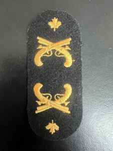 Canadian Naval Police