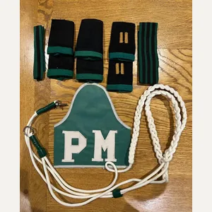 Mexico Military Police Grouping