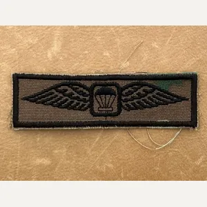 South African Army Parachute Instructor Wings
