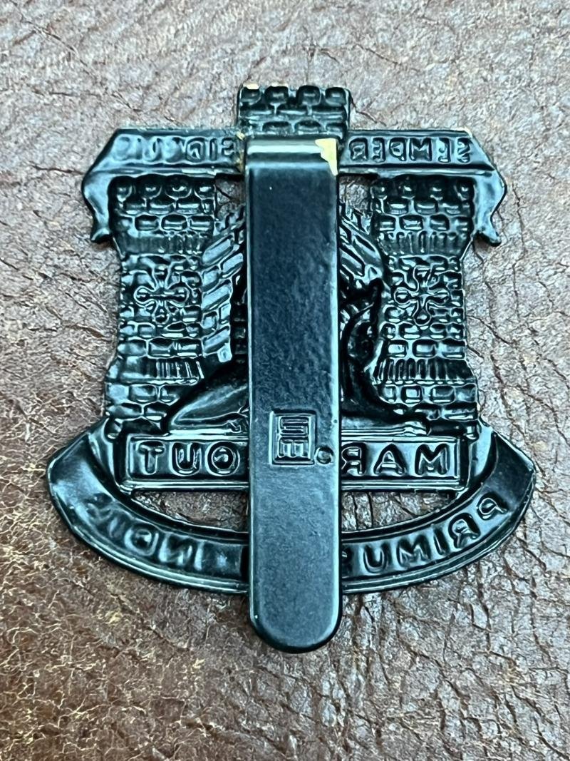 Devonshire & Dorset Regiment Cap Badge — image 2