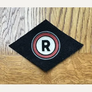 Poland Traffic Regulator Arm Patch