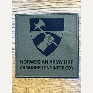Norway Armoured Engineer Coy Patch