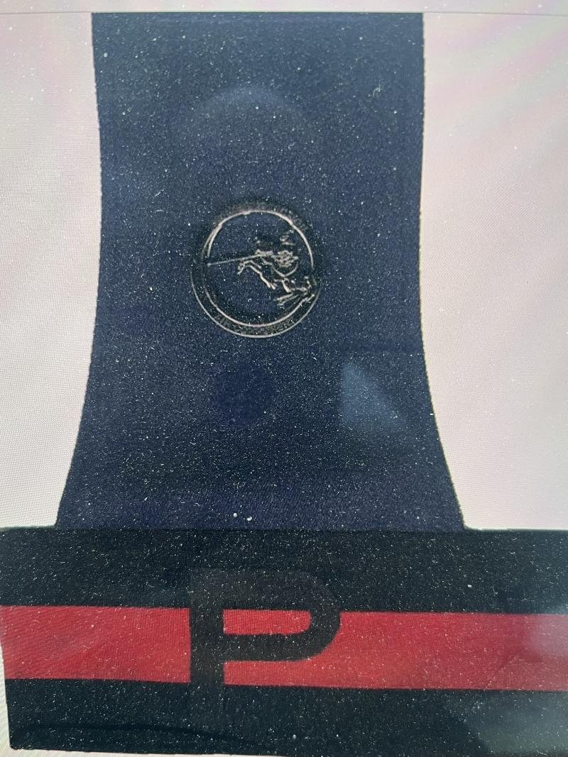 Belgium Force Protection Air Component Badge — image 2