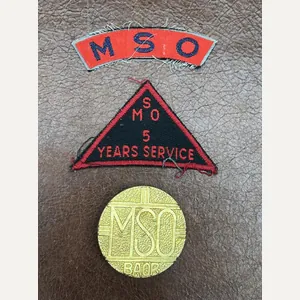 Mixed Service Organisation Group