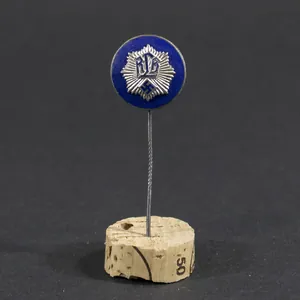 Reichsluftschutzbund pin
