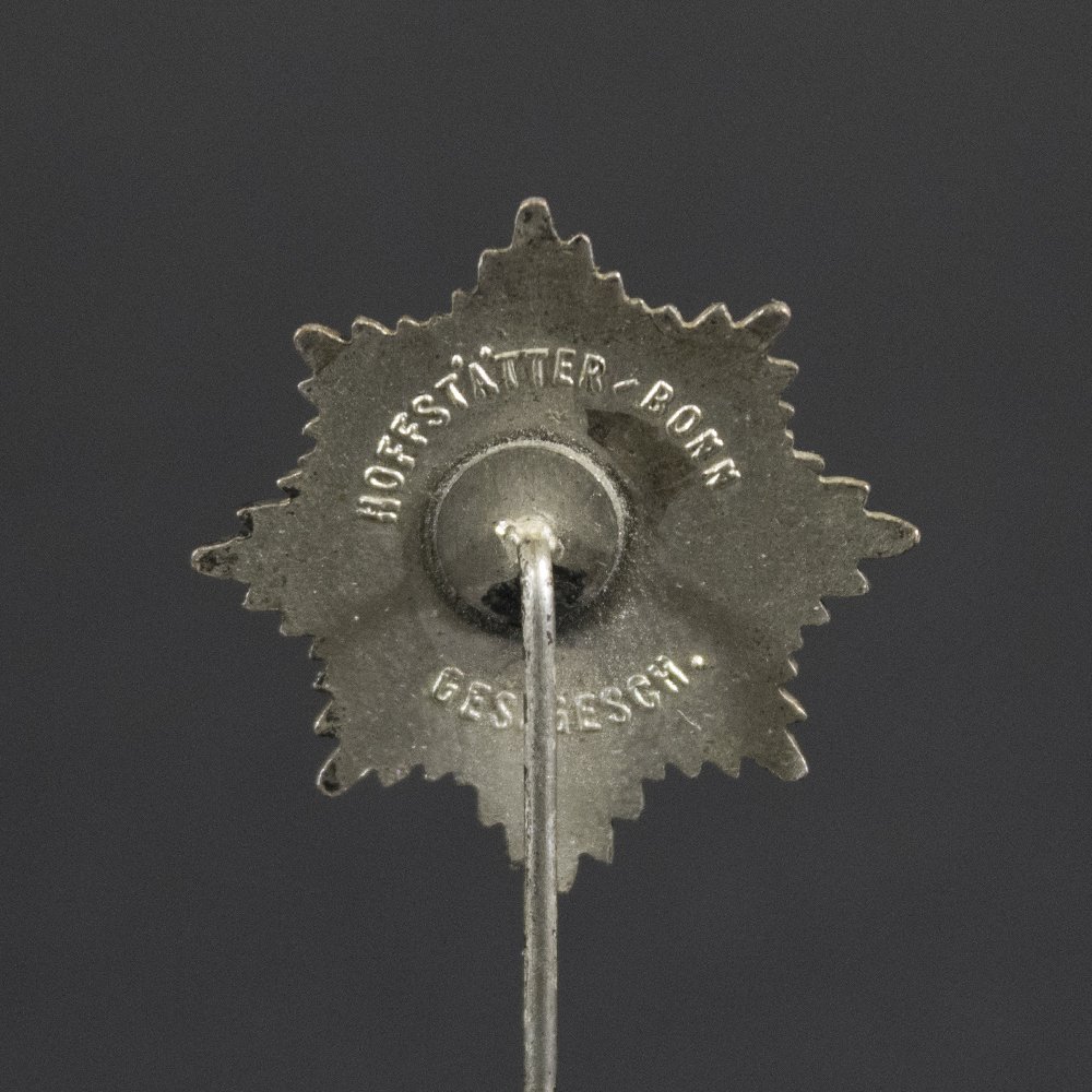 RLB membership pin — image 3