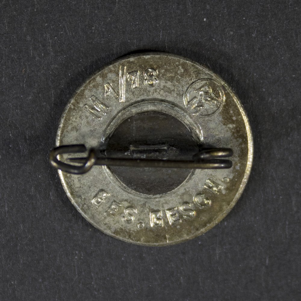 NS – Volkswohlfahrt membership pin — image 2