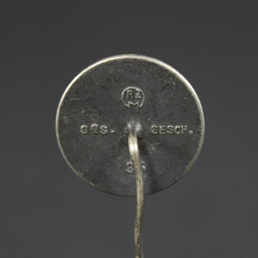 NS – Volkswohlfahrt membership pin — image 3