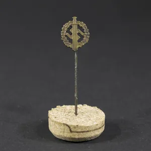 Pin for the SA Sport Badge in Bronze