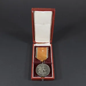 Cased Austria occupation medal