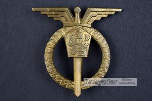 ČSLA Air Force Honor pilot