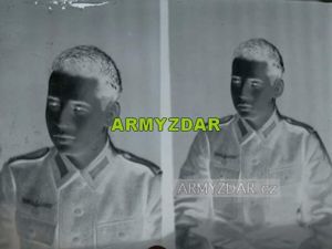 Glass negativ (3534)