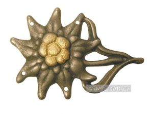 WH Mountain troops caps badge