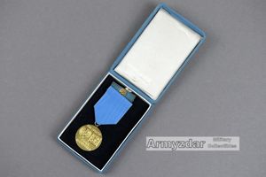 UN FORCES ČESKÁ REPUBLIKA medal