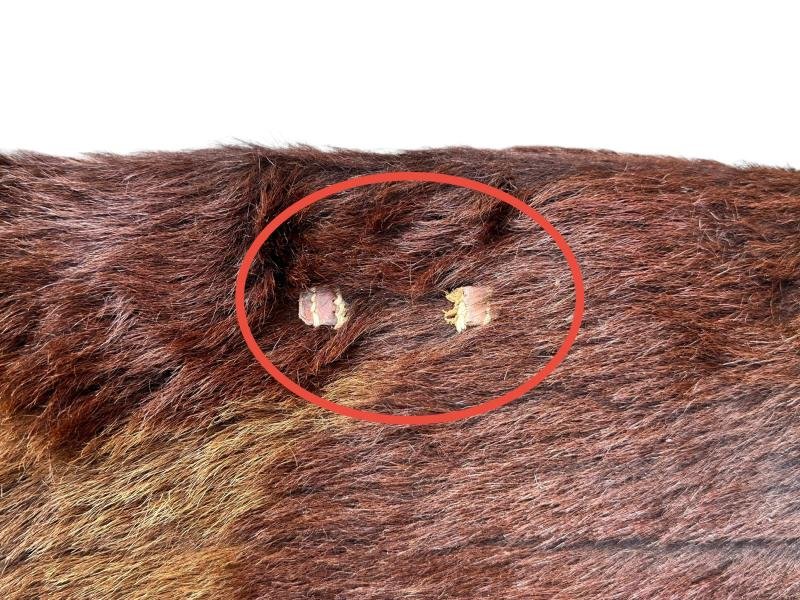 German Late-war Medical Backpack — image 15