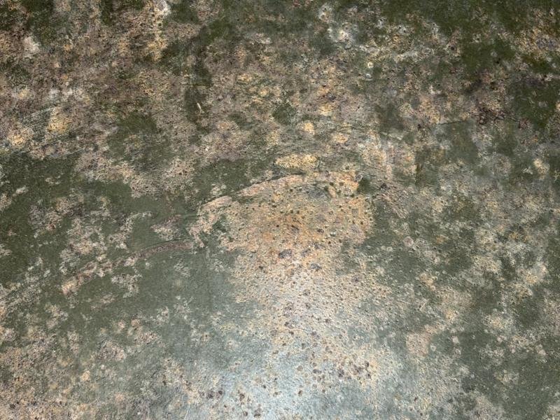 US M1 Fixed Bale Battle Damage Helmet Shell — image 12