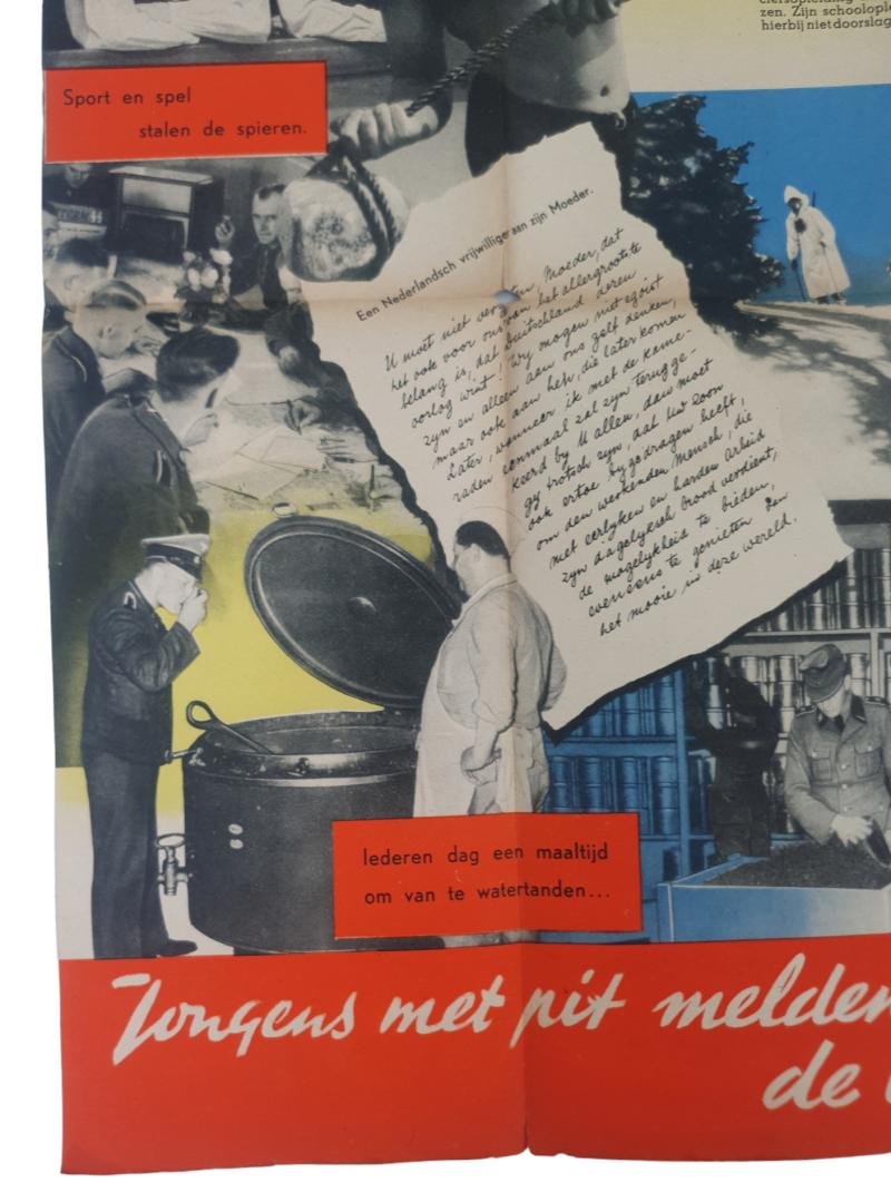 a original waffen ss dutch recruitment flyer — image 7