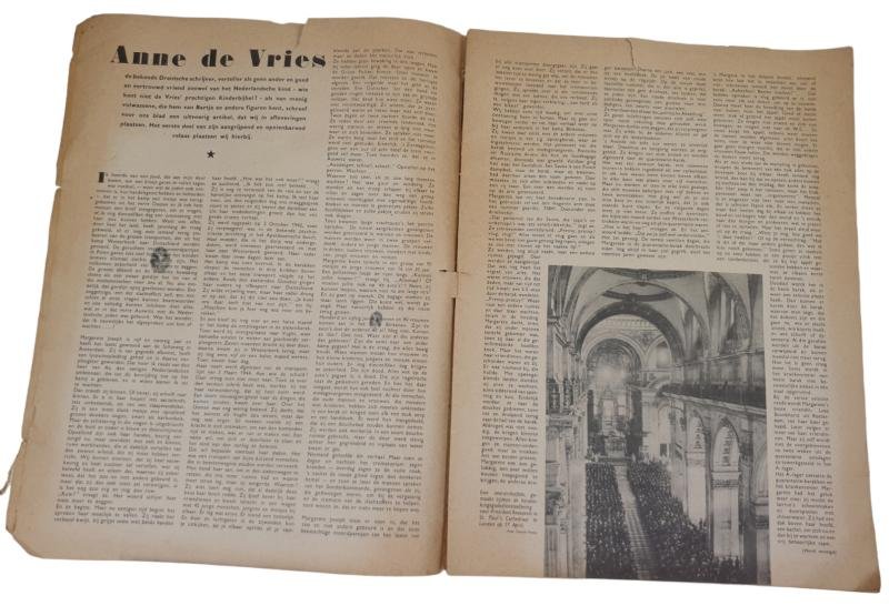 our free nederland magazine — image 3