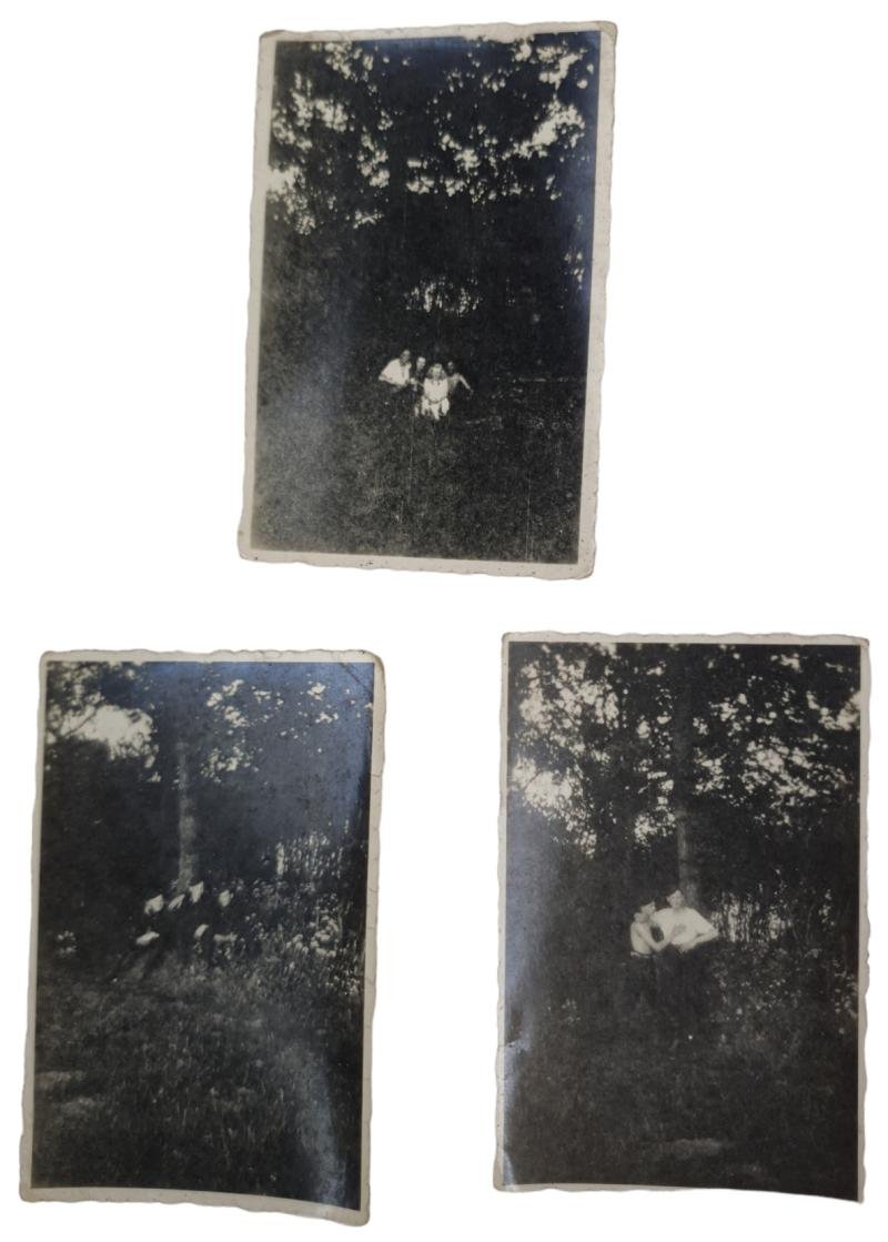 a set with 18 pictures from the Dutch Labor Service for Germany — image 3