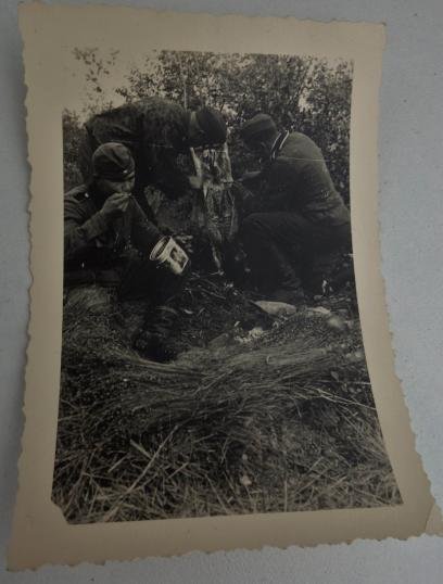 waffen ss picture — image 5