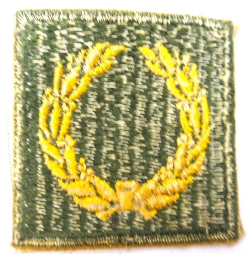A Meritorious unit citation patch — image 4