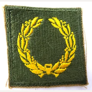 A Meritorious unit citation patch