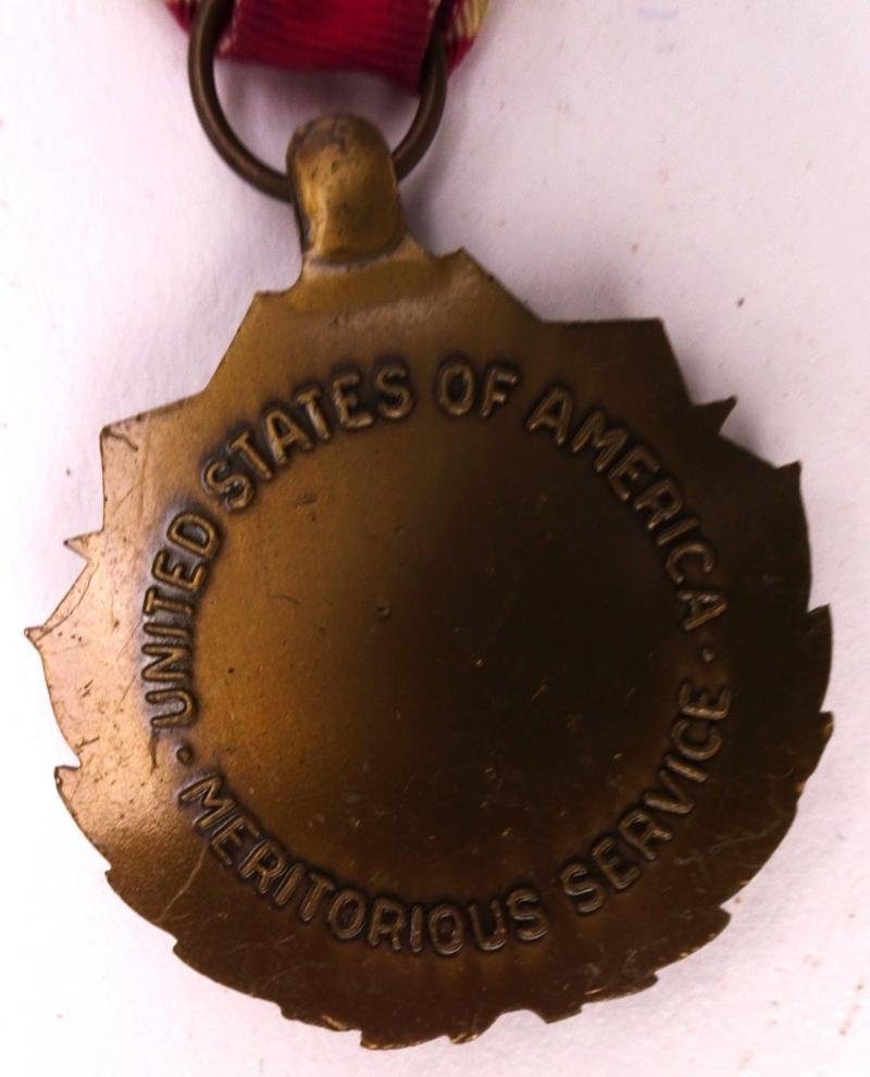 united states of america meritorious service medal +_miniatuur — image 8