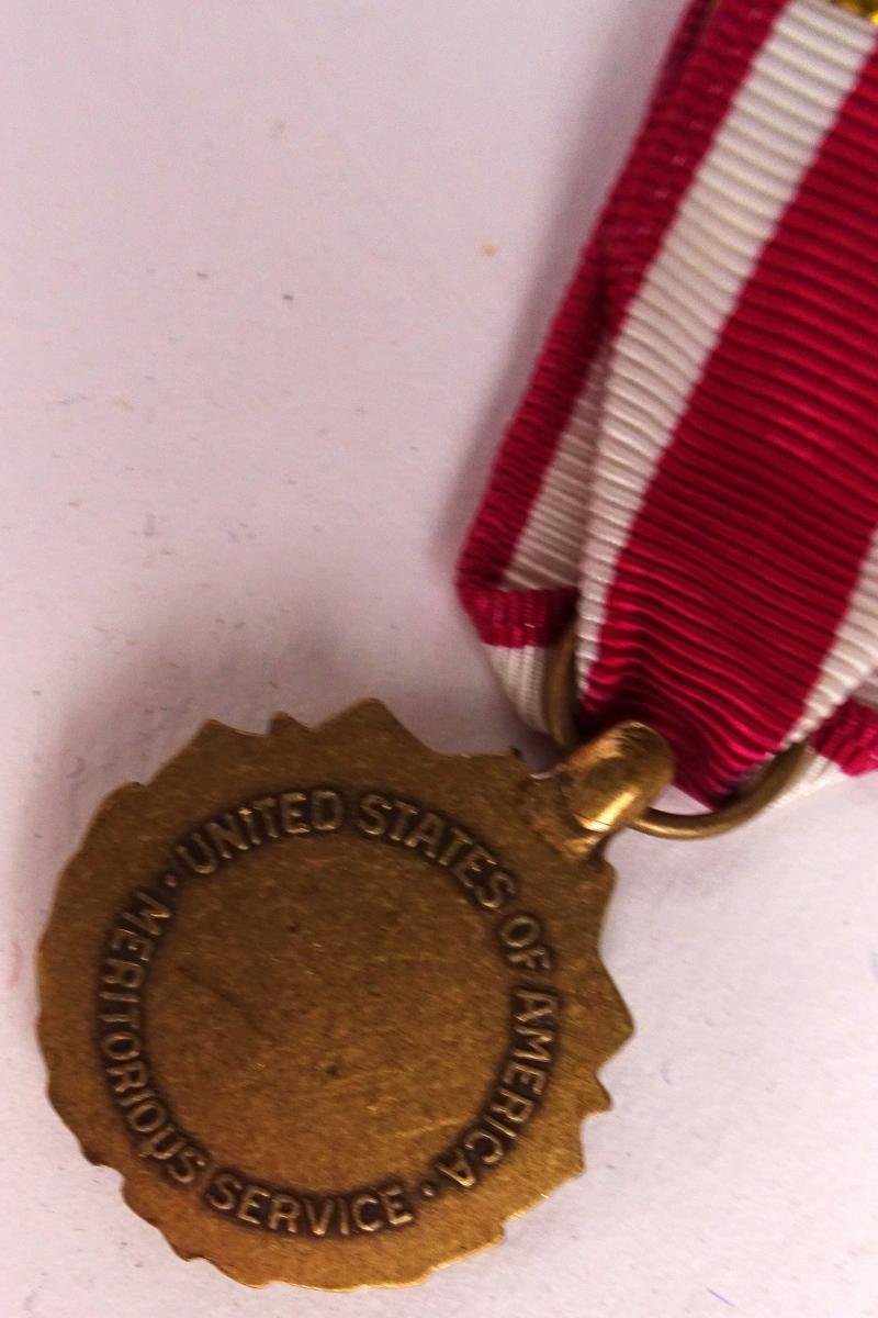 united states of america meritorious service medal +_miniatuur — image 9