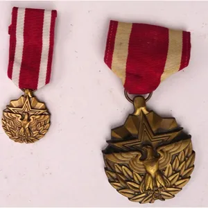 united states of america meritorious service medal +_miniatuur