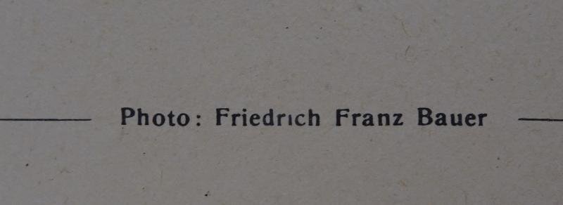 a german ww2 ss postcard — image 8