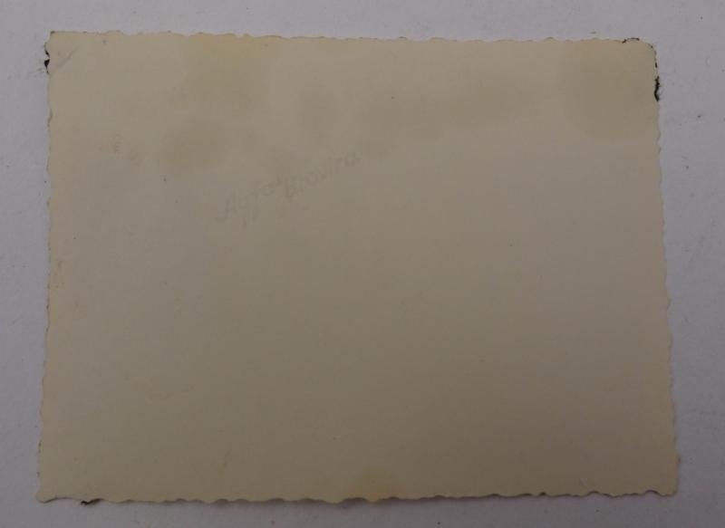 a German ww2 picture — image 4