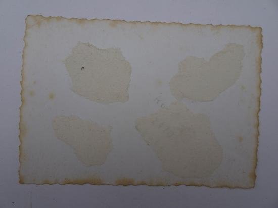 a nice picture of a German soldier and a woman — image 5