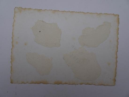 a nice picture of a German soldier and a woman — image 6