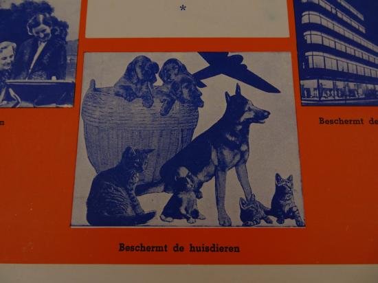 Dutch air raid defense force — image 6