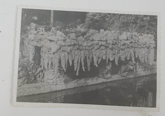 a german great picture — image 2