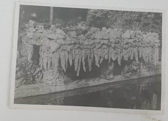 a german great picture — image 3