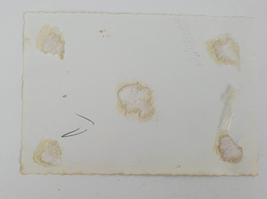 a german great picture — image 4